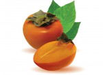 Persimmon