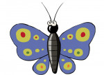 Schmetterling