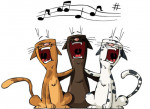 canzone