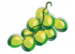 Traube