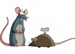 Maus