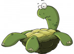 tartaruga