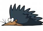 Igel