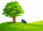 Natur