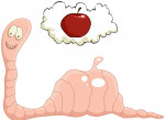 digestione