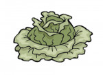 Kohl