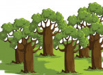 Wald