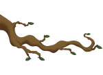 germoglio