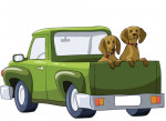 Transport