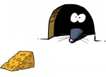 Käse