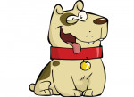cucciolo