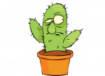 Spike