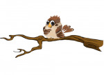Spatz