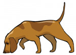 Jagdhund