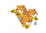 Bienenwabe