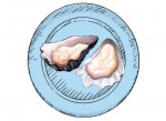 ostra