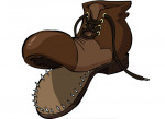 shoe