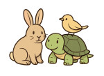 animaux