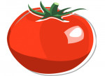 Tomate