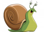Schnecke
