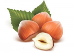 nocciola