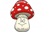 Pilz