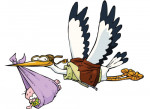 Storch