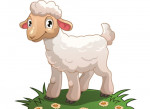 agnello