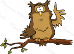 hibou