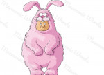 rosado