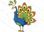 pavão