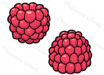 frambuesa