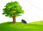 naturaleza