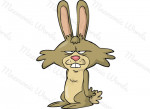 conejo