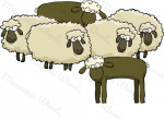 algunos