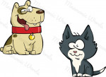 mascota