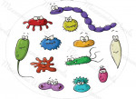 virus
