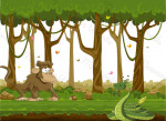 selva
