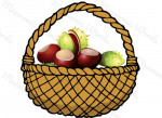 castaña