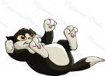 pata