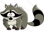 mammifero