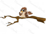 moineau