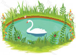 cisne