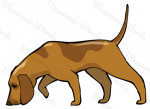 sabueso
