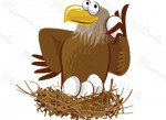 aigle