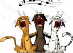 concierto