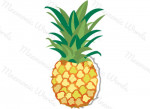 piña