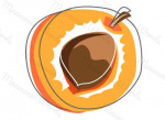 albaricoque