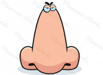 nariz