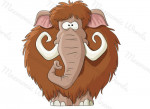 animal